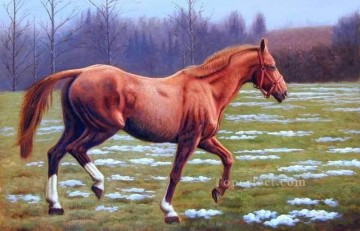 dw021fD animal cheval Peinture à l'huile